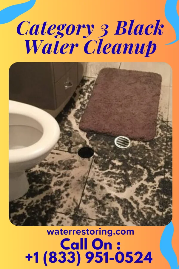 Category 3 Black Water Cleanup in Bella Villa, MO